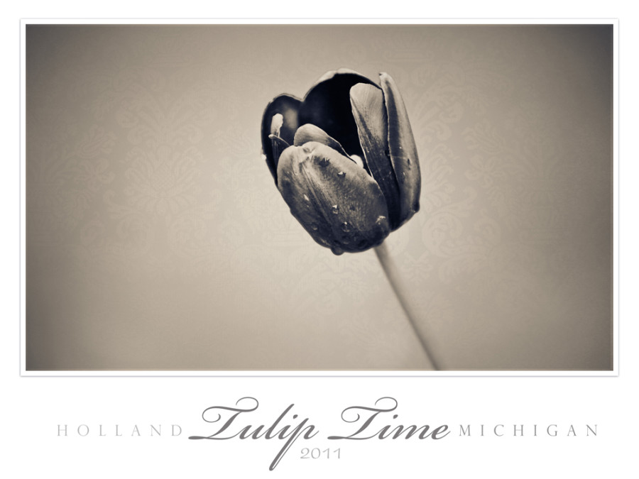 VAN-KLOMPENBERG.Selena.TulipTime-2011.entryA